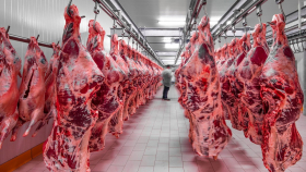 Производство мяса в Бразилии достигнет исторического максимума